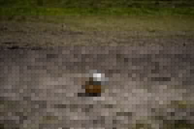 نهائي دوري أبطال آسيا 2021ملحمة كروية لا تُنسى