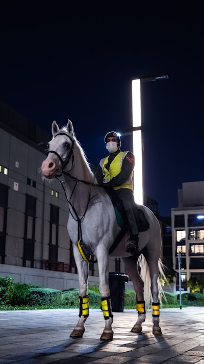 مباراة توتنهام مباشرمتابعة حية لأهم أحداث المباراة